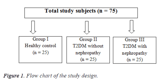 biomedres-study-design