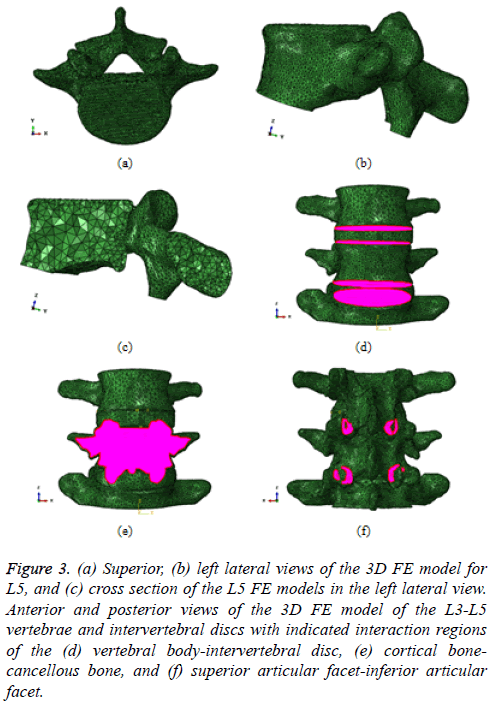 biomedres-superior-articular