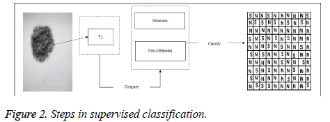 biomedres-supervised-classification