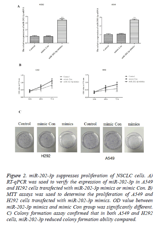 biomedres-suppresses-proliferation