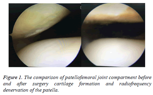 biomedres-surgery-formation