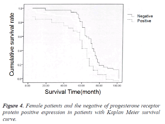 biomedres-survival-curve