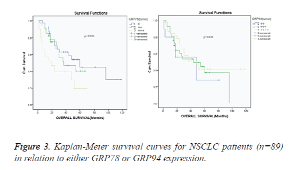 biomedres-survival-curves