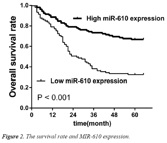 biomedres-survival-rate-MIR