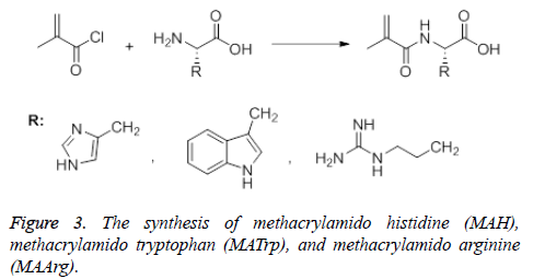 synthesis-methacrylamido-methacrylamido