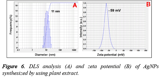 biomedres-synthesized-plant-extract