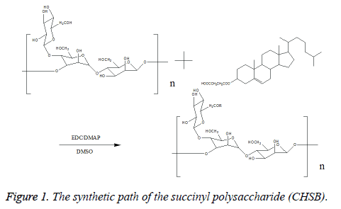 biomedres-synthetic-path