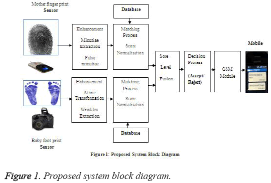 biomedres-system-block-diagram