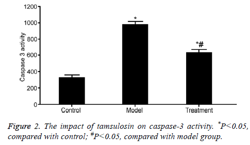 biomedres-tamsulosin-caspase-3-model