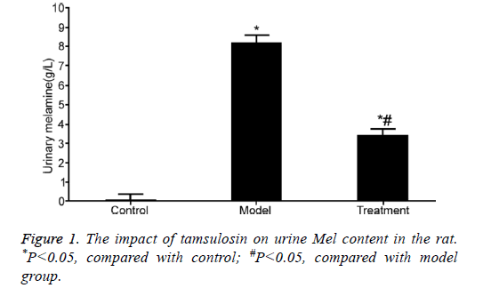 biomedres-tamsulosin-rat-model