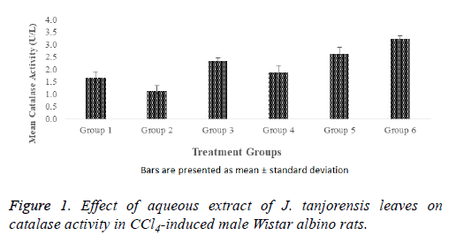 biomedres-tanjorensis-leaves