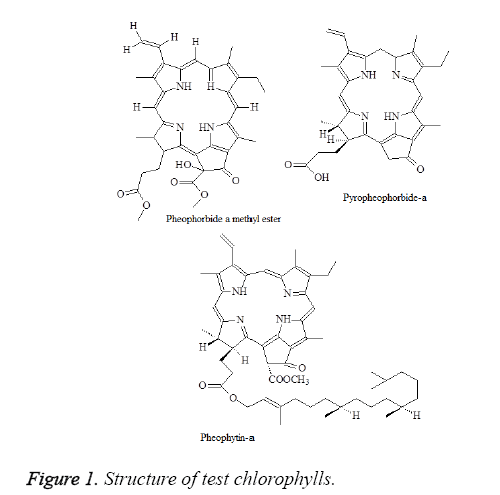 biomedres-test-chlorophylls