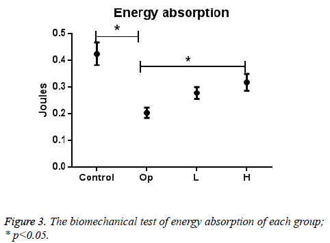 biomedres-test-energy