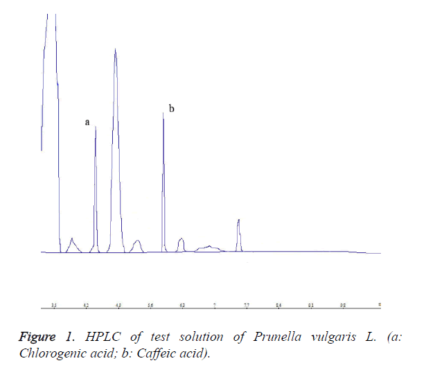 biomedres-test-solution