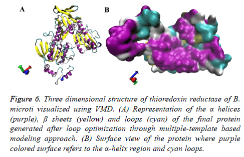 biomedres-thioredoxin