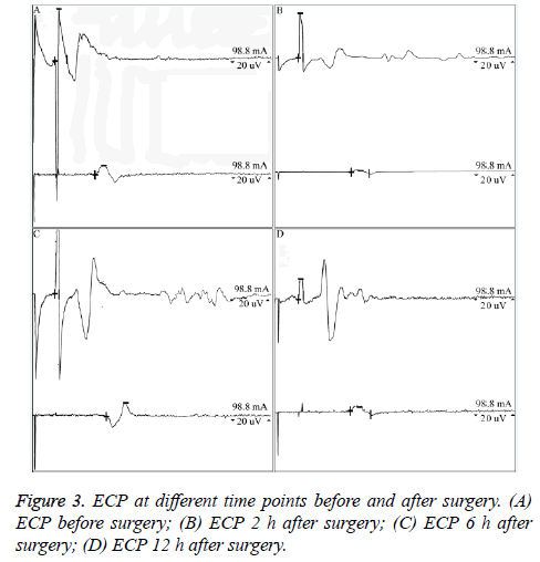 biomedres-time-points