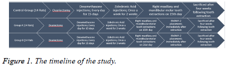 biomedres-timeline