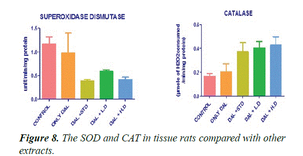 biomedres-tissue-rats