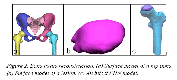 biomedres-tissue-reconstruction