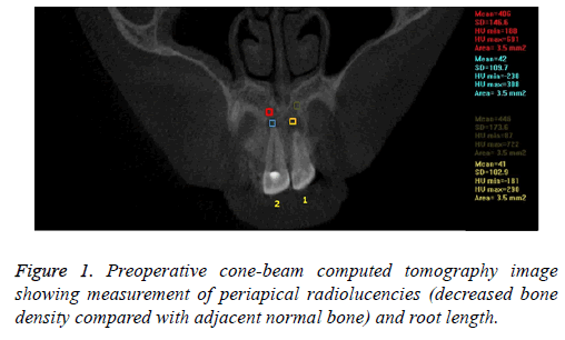 biomedres-tomography-image