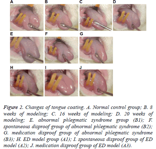 biomedres-tongue-coating