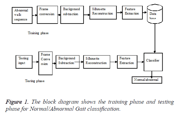 biomedres-training-phase-testing