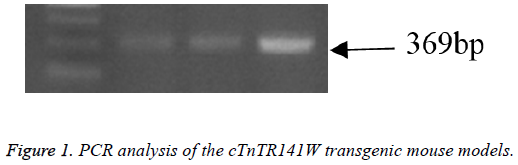 biomedres-transgenic-mouse-models