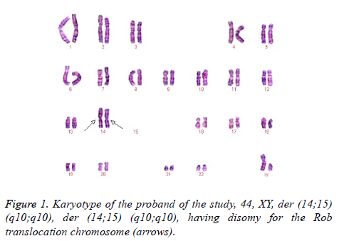 biomedres-translocation-chromosome