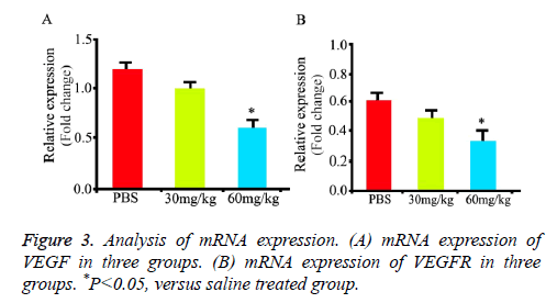 biomedres-treated-group