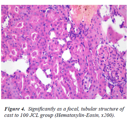 biomedres-tubular-structure