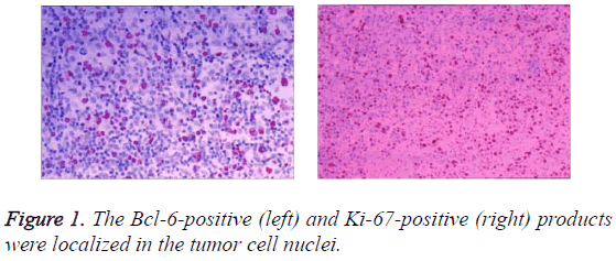 biomedres-tumor-cell-nuclei