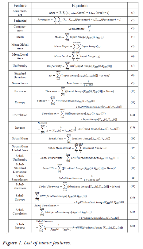 biomedres-tumor-features