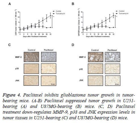 biomedres-tumor-growth