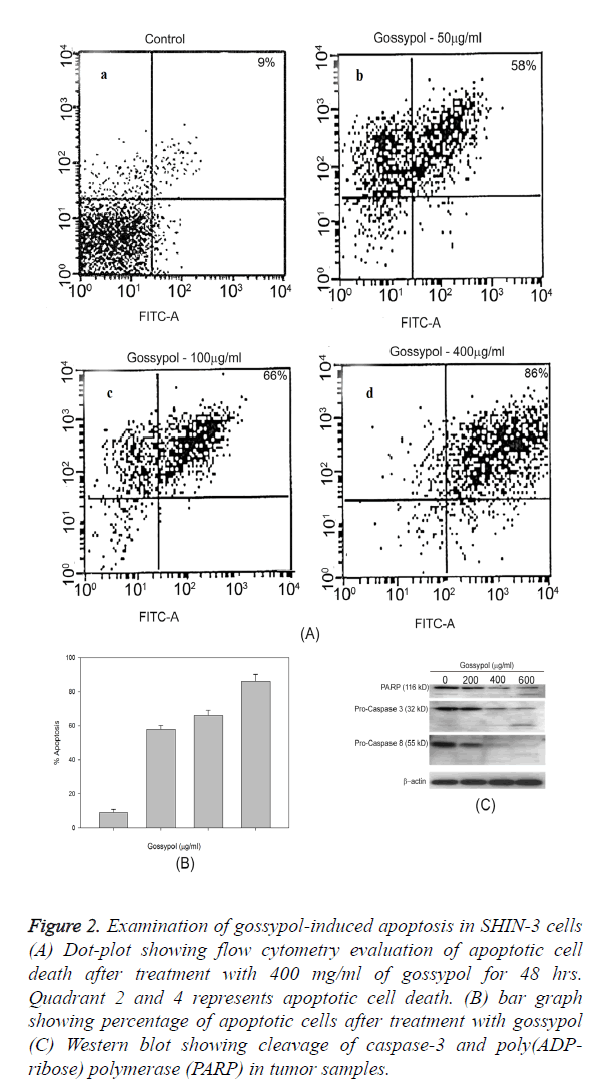 biomedres-tumor-samples