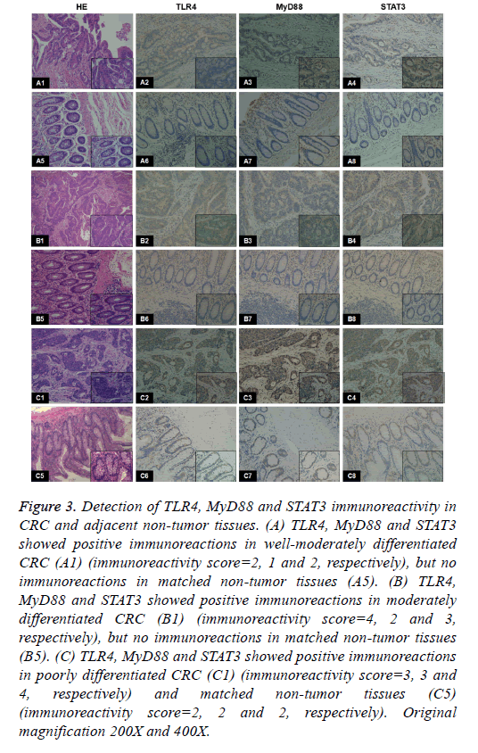 biomedres-tumor-tissues