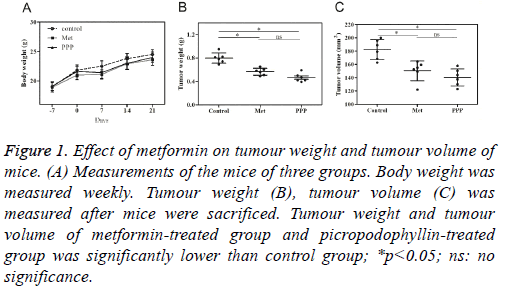 biomedres-tumour-weight