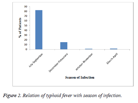 biomedres-typhoid-fever