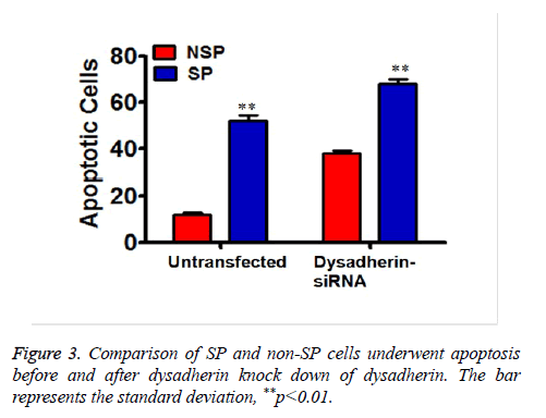 biomedres-underwent-apoptosis