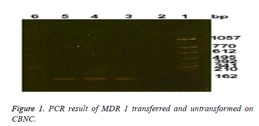 biomedres-untransformed-CBNC