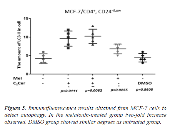 biomedres-untreated-group