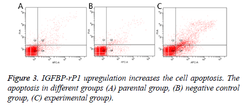 biomedres-upregulation