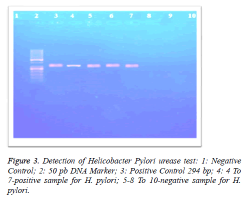 biomedres-urease-test