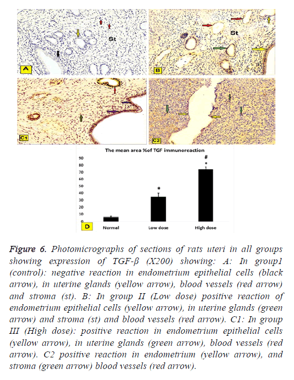 biomedres-uterine-glands