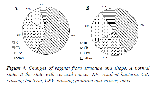 biomedres-vaginal-flora