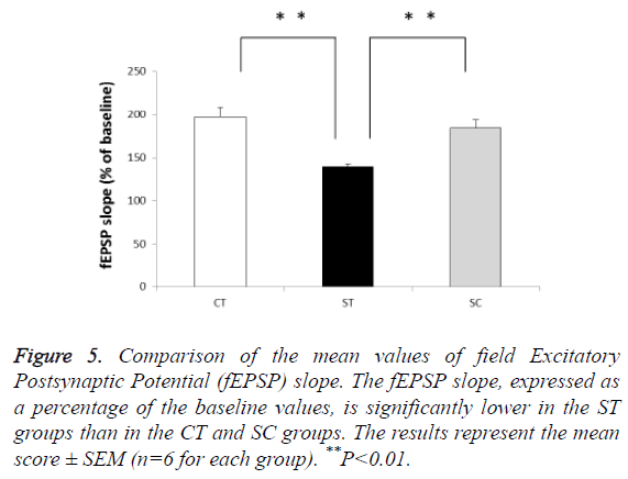 biomedres-values-field-Excitatory