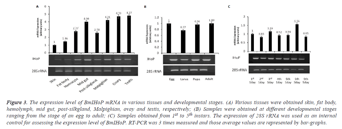 biomedres-various-tissues