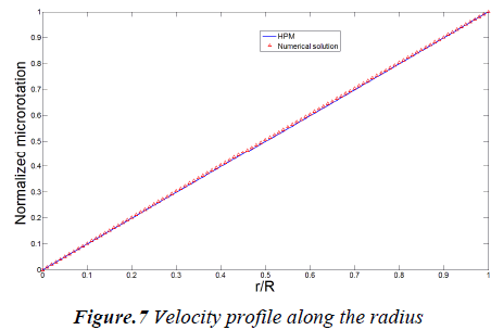 biomedres-velocity-profile