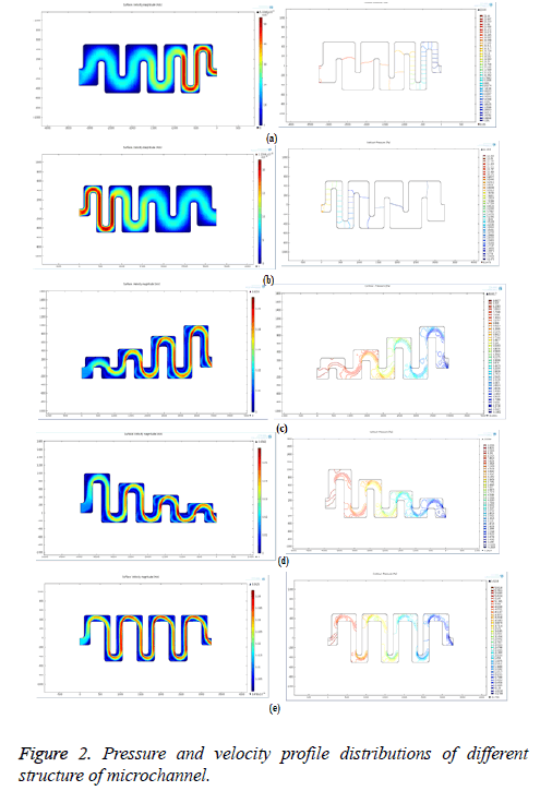 biomedres-velocity-profile