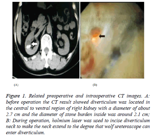 biomedres-ventral-region