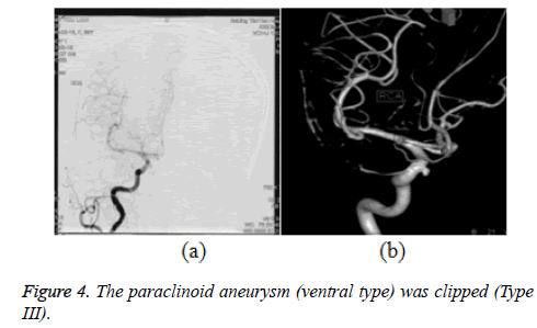 biomedres-ventral-type